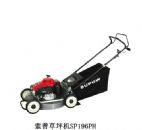 ���ղ�ƺ��SP196PH �� ����鿴��ϸ����